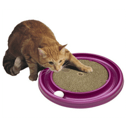 Bergan Turbo Scratcher best cat toy