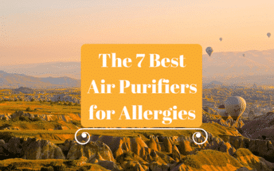 The 7 Best Air Purifiers for Allergies