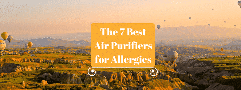 Best Air Purifier for Allergies