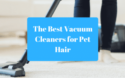 The 9 Best Vacuum Cleaners for Pet Hair