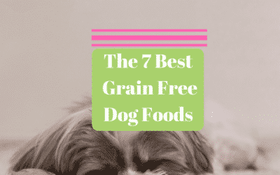 The 7 Best Grain Free Dog Foods