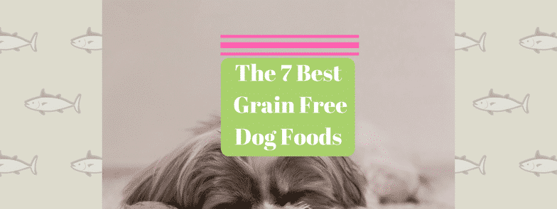 The 7 Best Grain Free Dog Foods