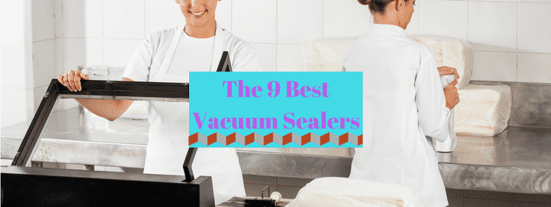 The 9 Best Vacuum Sealers