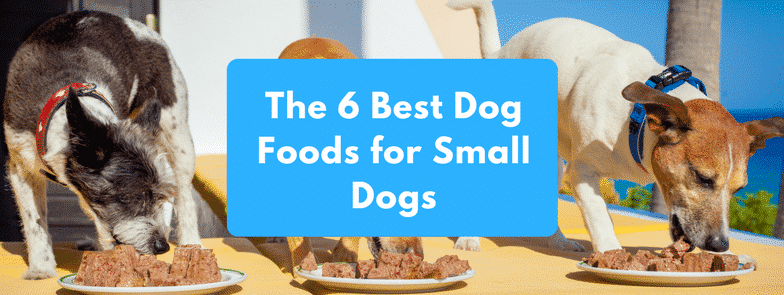 The 6 Best Dog Foods for Small Dogs