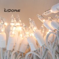 LIDORE 100 count Super Bright Clear Outdoor Mini Christmas Tree Lights