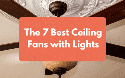 The 7 Best Ceiling Fans with Lights